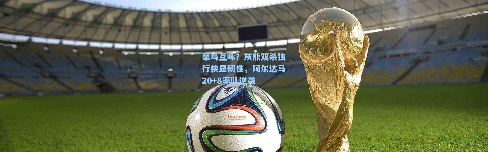 菜鸟互啄？灰熊双杀独行侠显韧性，阿尔达马20+8率队逆袭