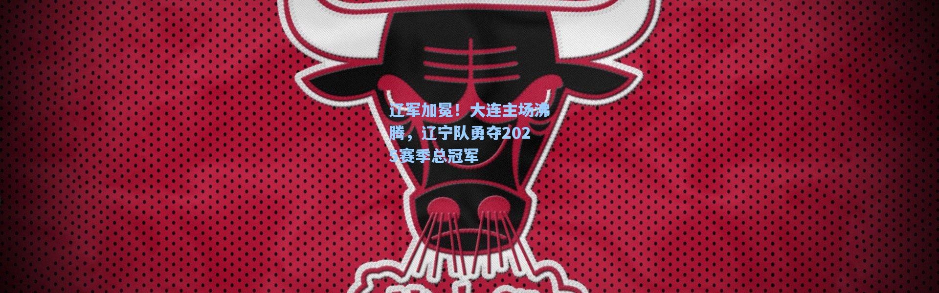 辽军加冕！大连主场沸腾，辽宁队勇夺2025赛季总冠军