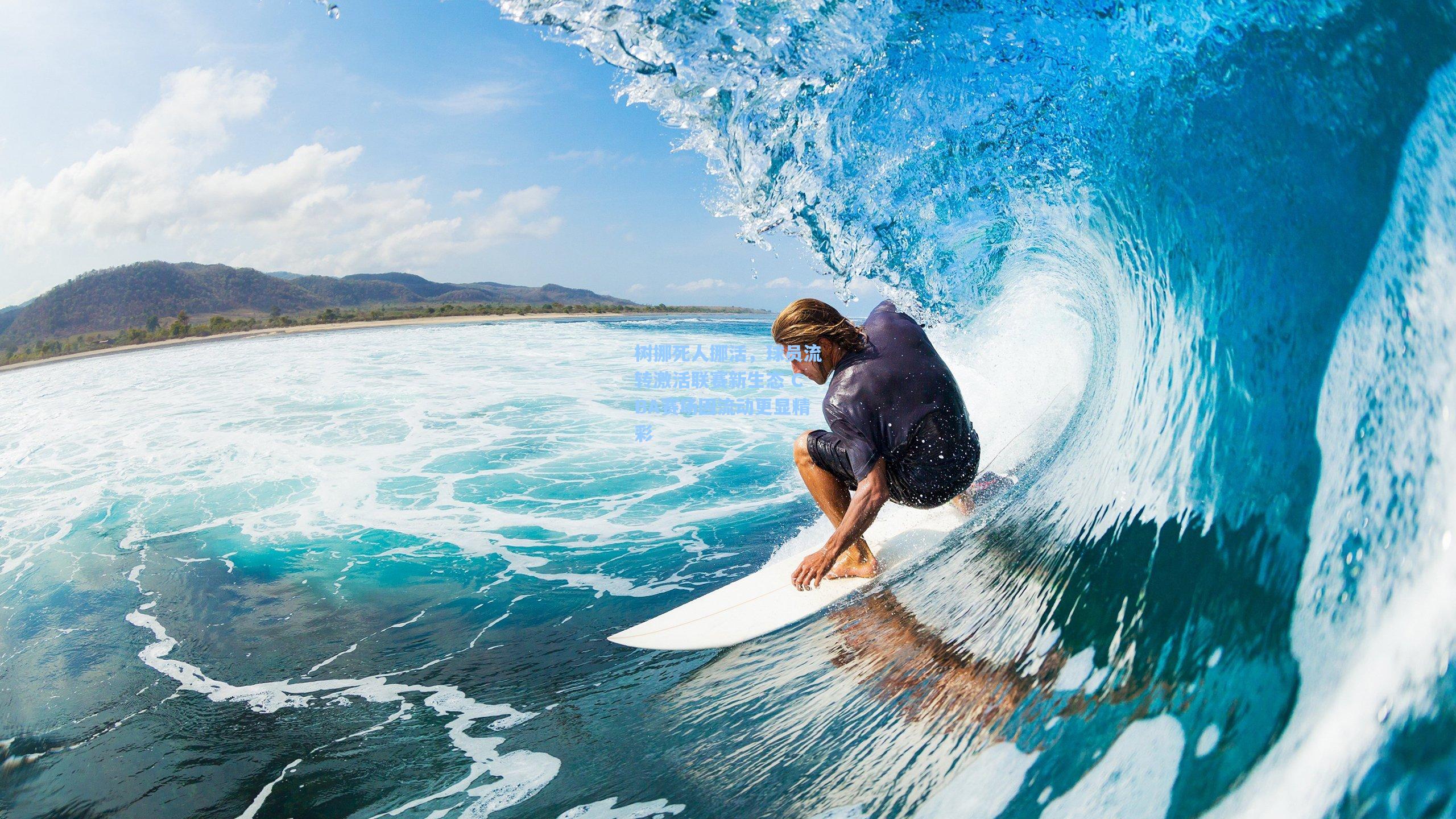 树挪死人挪活，球员流转激活联赛新生态 CBA赛场因流动更显精彩